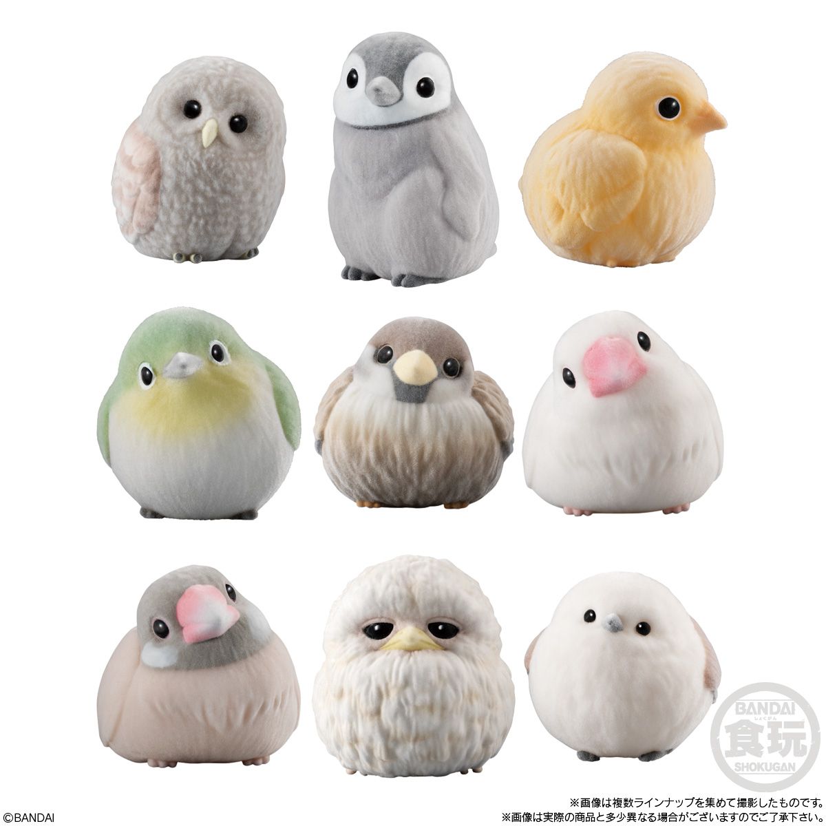 行版 Bandai 掌上小動物系列 蓬鬆的掌上鳥 食玩 (全9款)