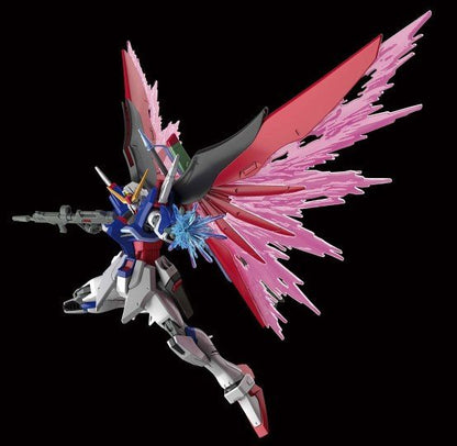 行版 HGCE 1/144 機動戰士高達 Gundam Seed 命運高達 Destiny Gundam