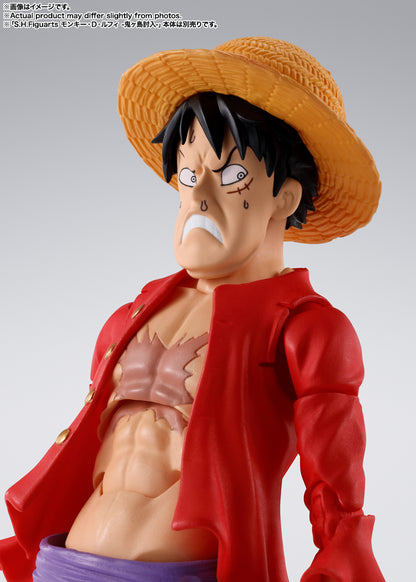 行版 Bandai S.H.Figuarts SHF 海賊王 One Piece 托拉法爾加‧羅  -鬼島討伐-