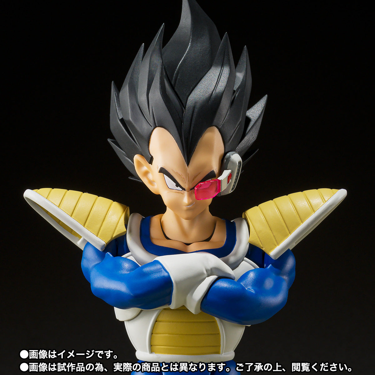 [魂shop限定] 行版 Bandai S.H.Figuarts SHF 龍珠 Dragon Ball  比達 -24000之戰鬥力-