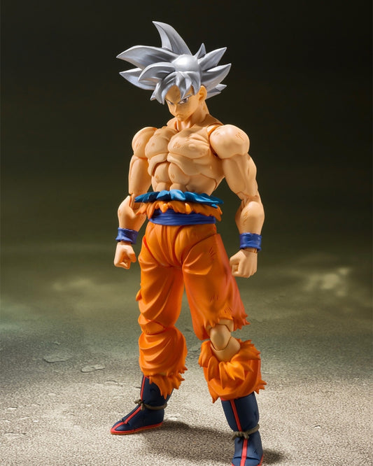 行版 Bandai S.H.Figuarts SHF 龍珠 Dragon Ball 孫悟空 自在極意功 （2024年版）