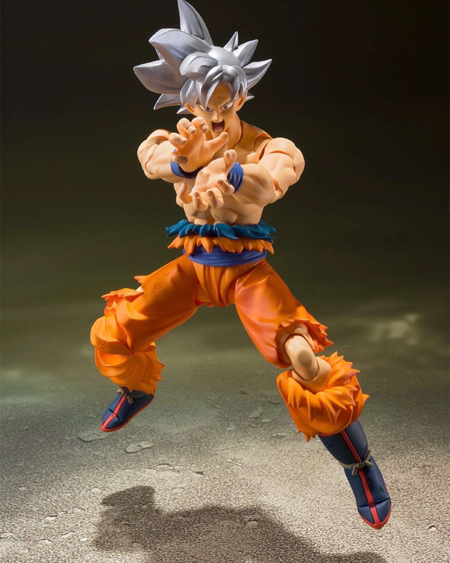 行版 Bandai S.H.Figuarts SHF 龍珠 Dragon Ball 孫悟空 自在極意功 （2024年版）