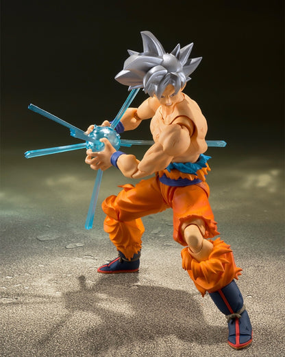 行版 Bandai S.H.Figuarts SHF 龍珠 Dragon Ball 孫悟空 自在極意功 （2024年版）