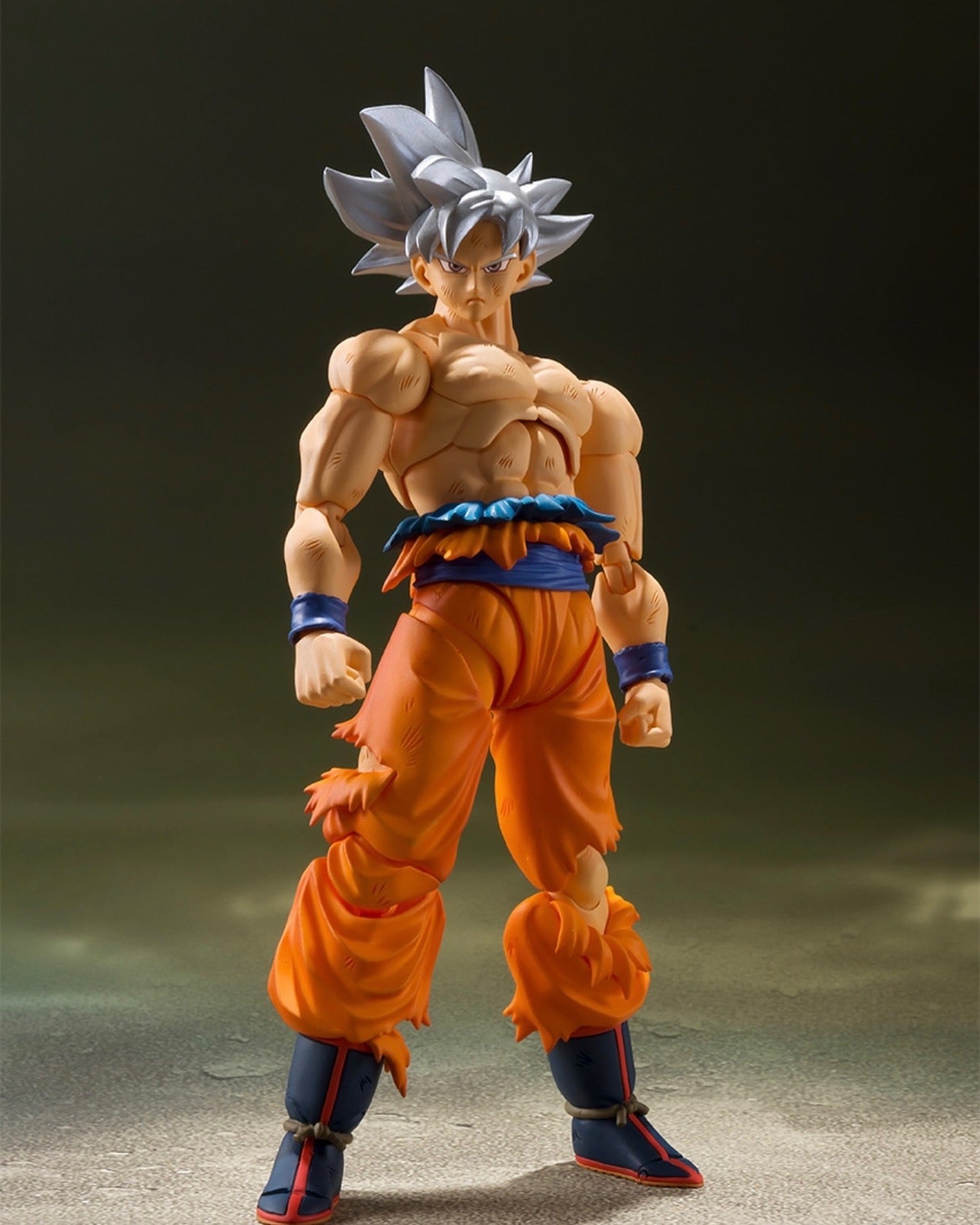 行版 Bandai S.H.Figuarts SHF 龍珠 Dragon Ball 孫悟空 自在極意功 （2024年版）