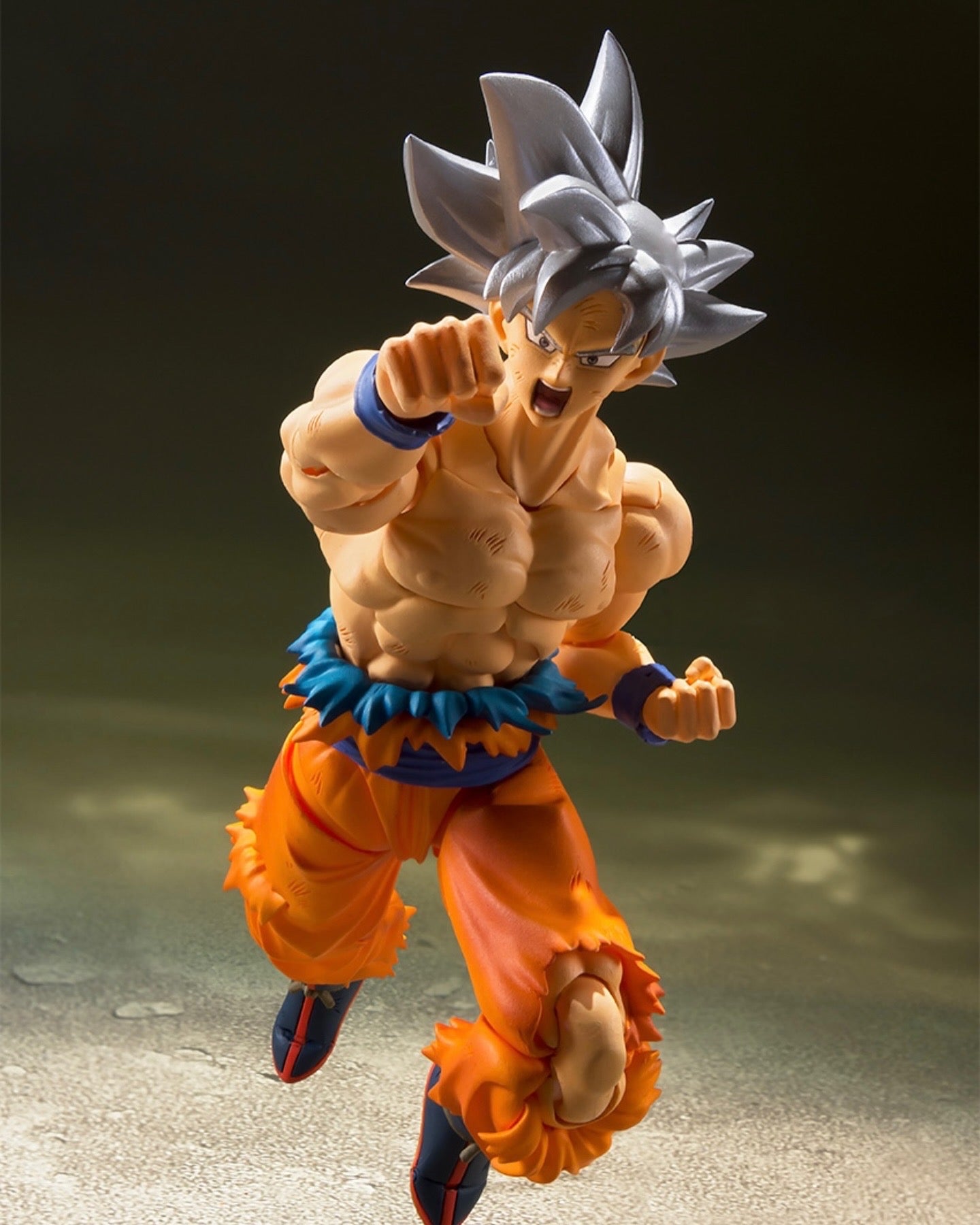 行版 Bandai S.H.Figuarts SHF 龍珠 Dragon Ball 孫悟空 自在極意功 （2024年版）